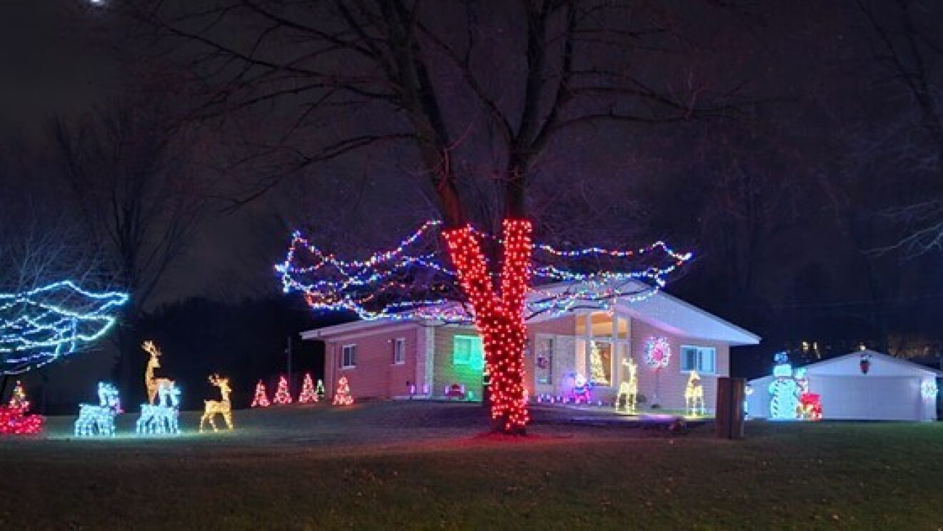 Holiday Lights