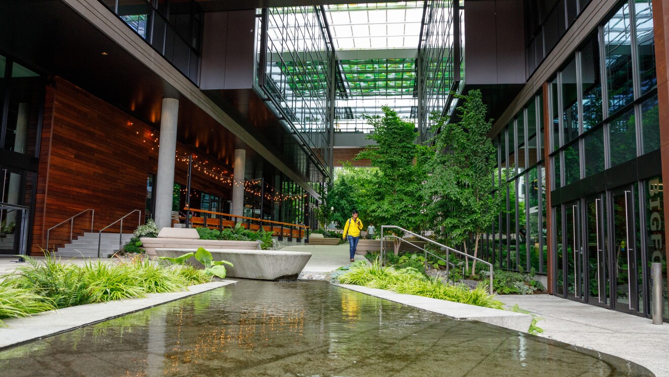 亚马逊大脚庭院