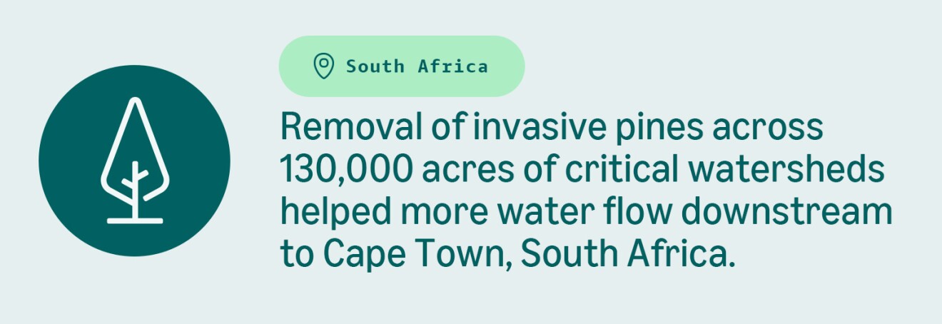 South African watershed restoration improves water supply for 130,000 acres