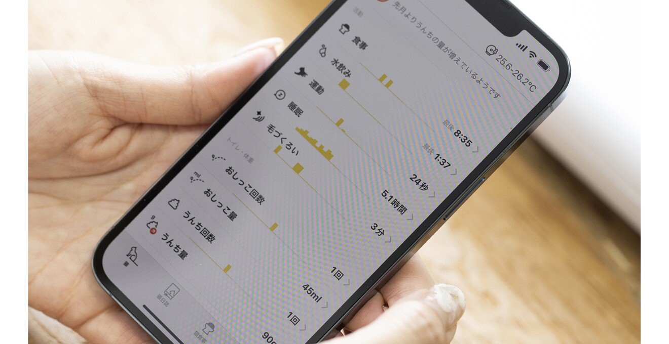 スマートフォンから確認している写真