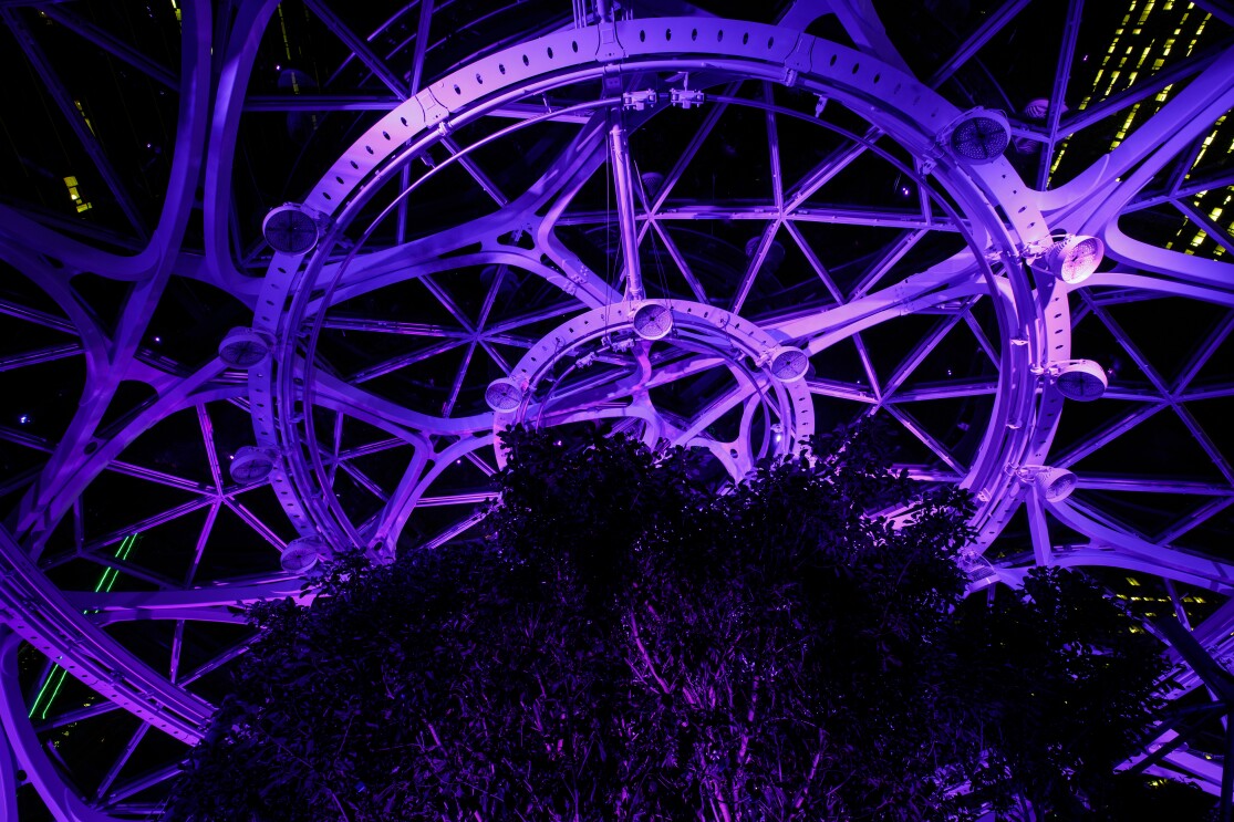 Purple spheres for Special Olympics