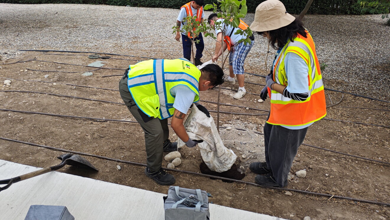 Voluntariado Medioambiental Amazon México 2025