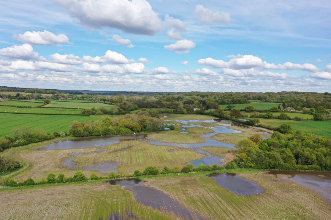 Scenic wetlands interspersed with farmland under expansive sky