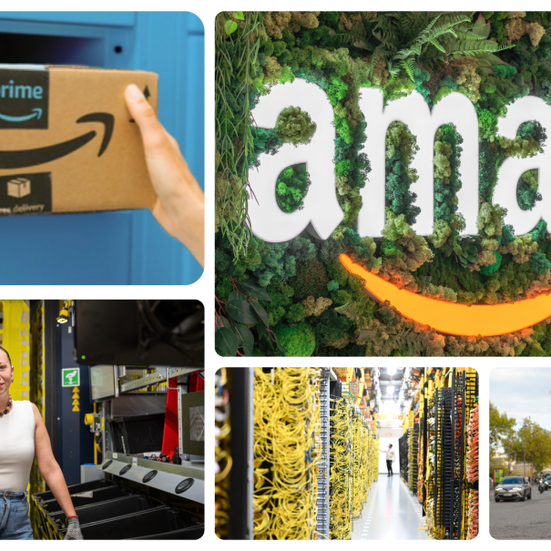 Amazon in France  