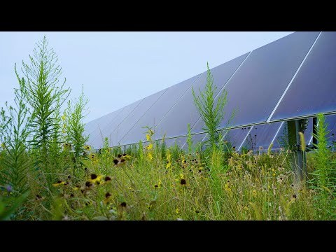 Careers at the Amazon Solar Farm Ohio–Yellowbud