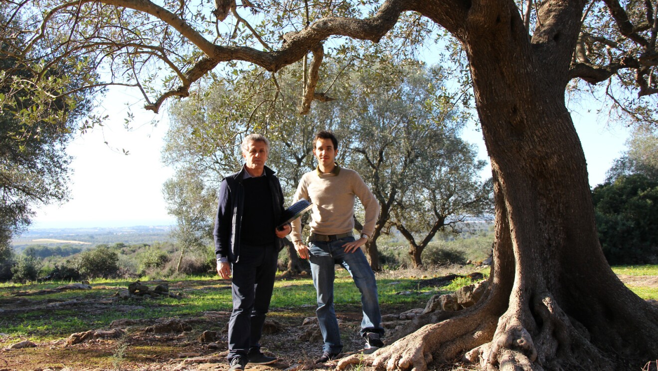 Alex e Nino Olivotto, titolari di Olivottoil.jpeg