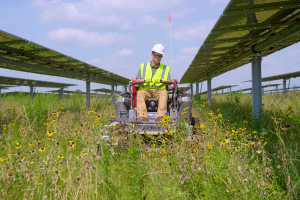 A photo of an employee mowing grass below solar panels at Amazon's Solar Farm Ohio–Yellowbud.