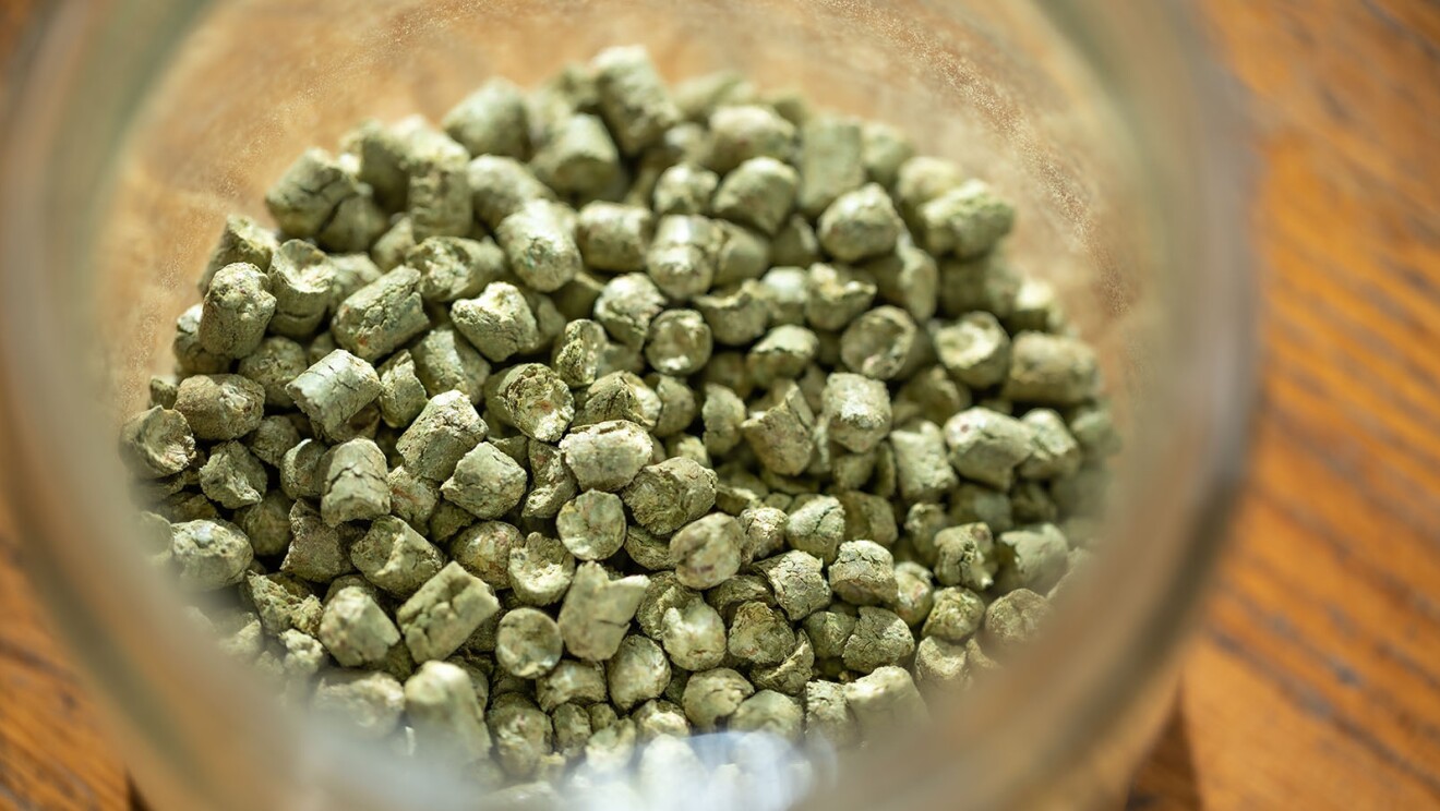 短い円筒状になったホップがガラス容器に入っている