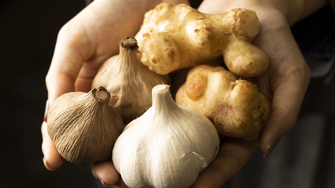 掌に載せた黒にんにくと菊芋の写真