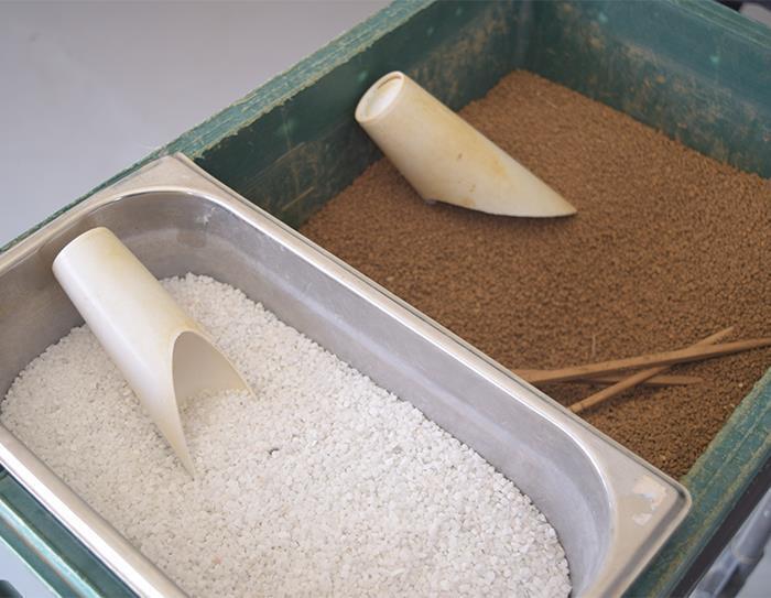 「盆栽愛」が導いた盆栽通販の可能性