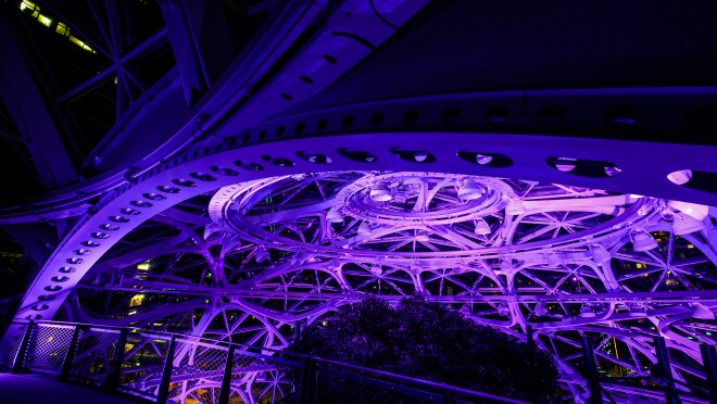 紫色的特奥会的球体