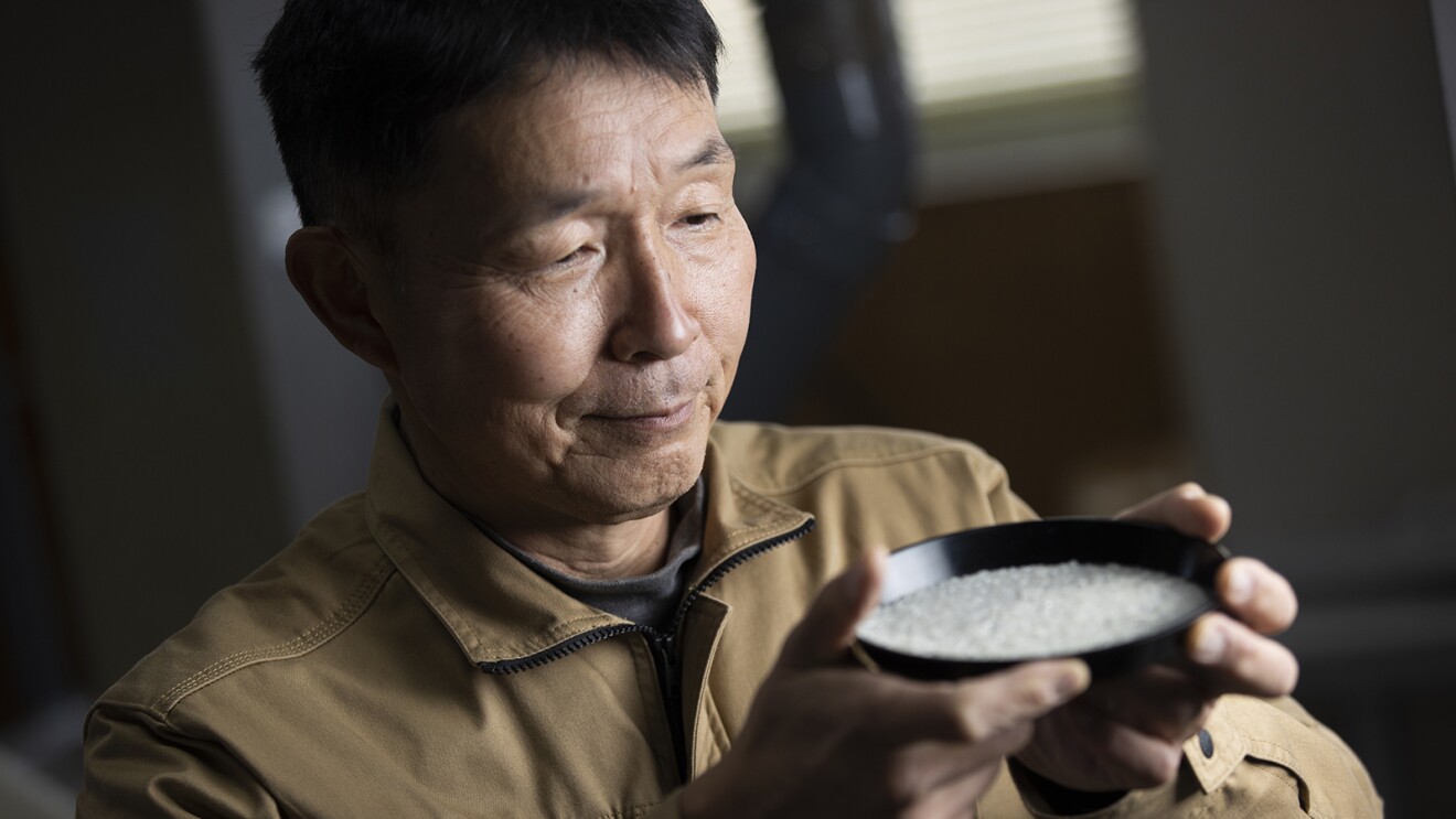 黒い皿に載せた精米を見つめる男性（松井栄作さん）