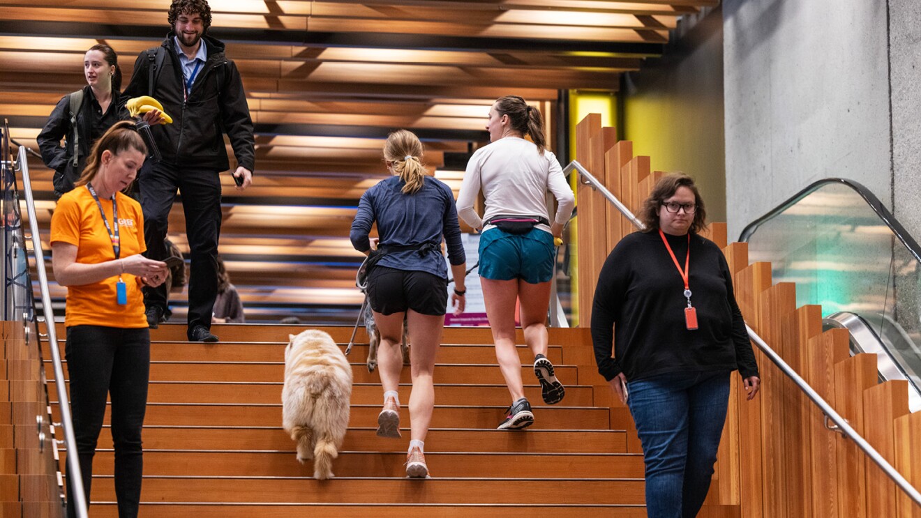 Amazon employees and their dogs make their way up a lobby staircase in Seattle.