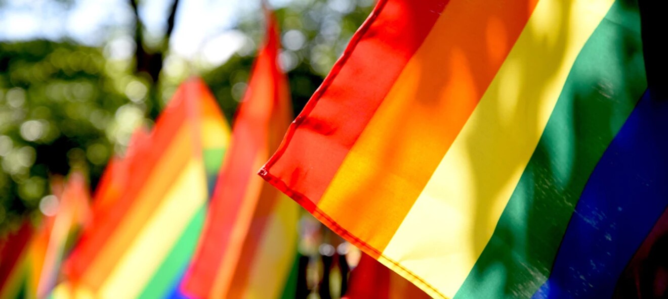 Happy Pride! Wir lieben es bunt.