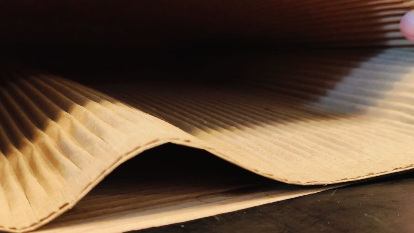 Amazon Paper Padded Envelope.jpg