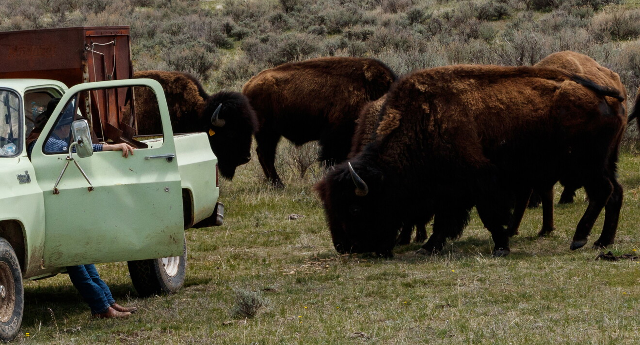 Preserving a ranch’s scarcest resource