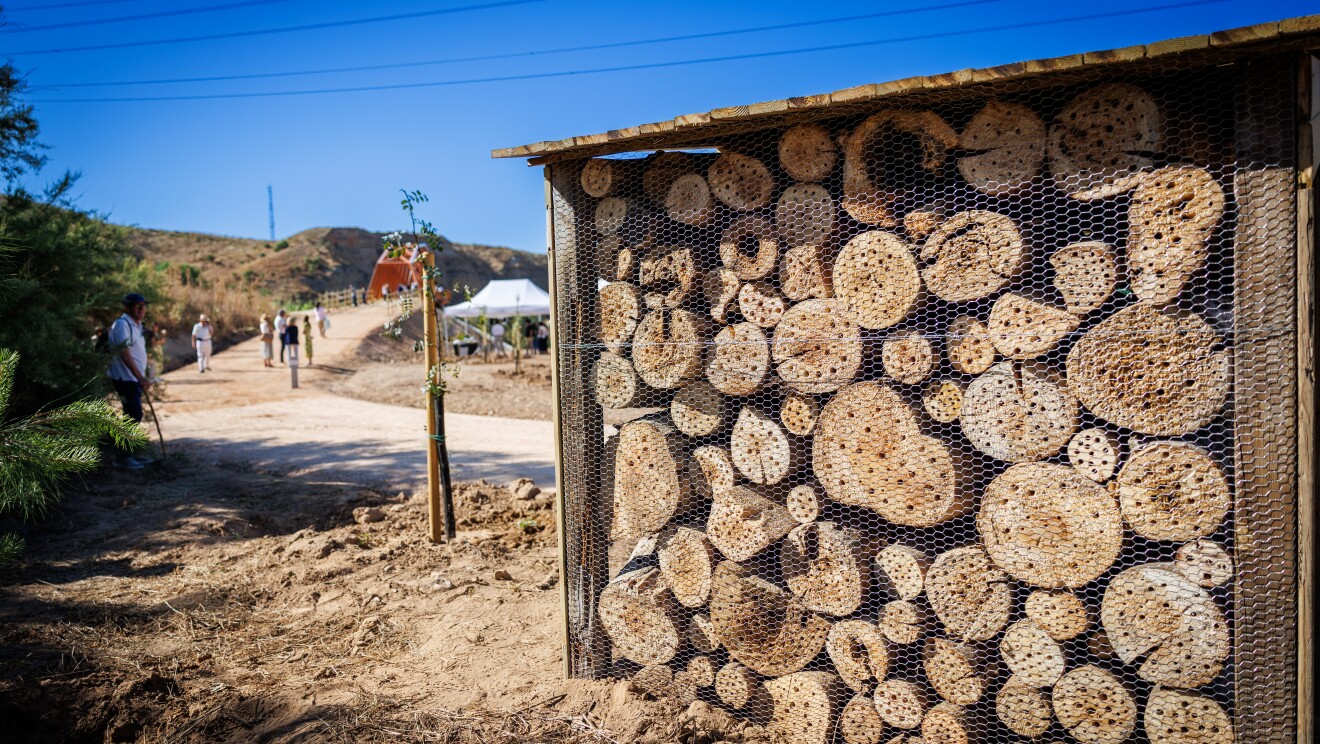 arco verde madrid july 2025 nesting boxes 1  