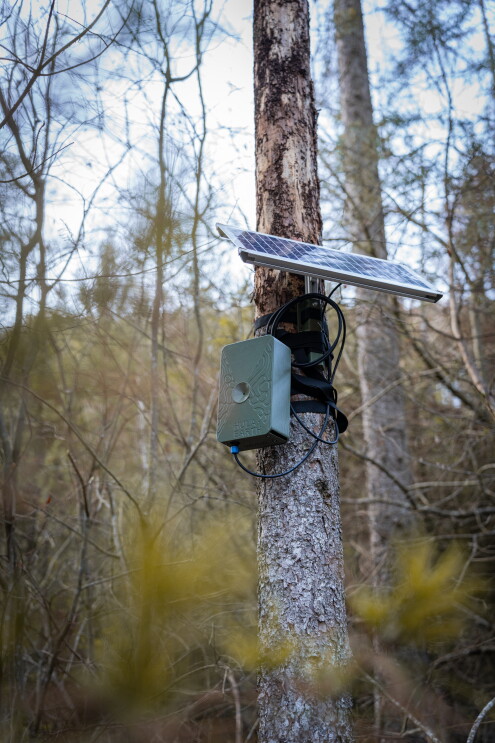 various tech innovations involved in the amazon sustainability accelerator 