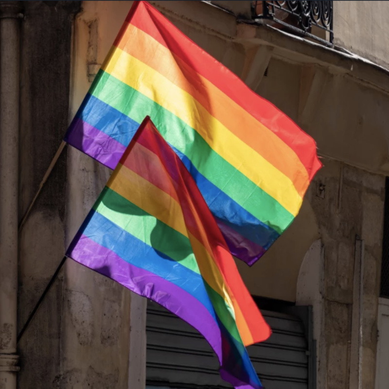 LGBT flags