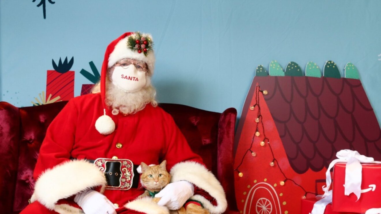Santa holds Carrot the cat for a picture.