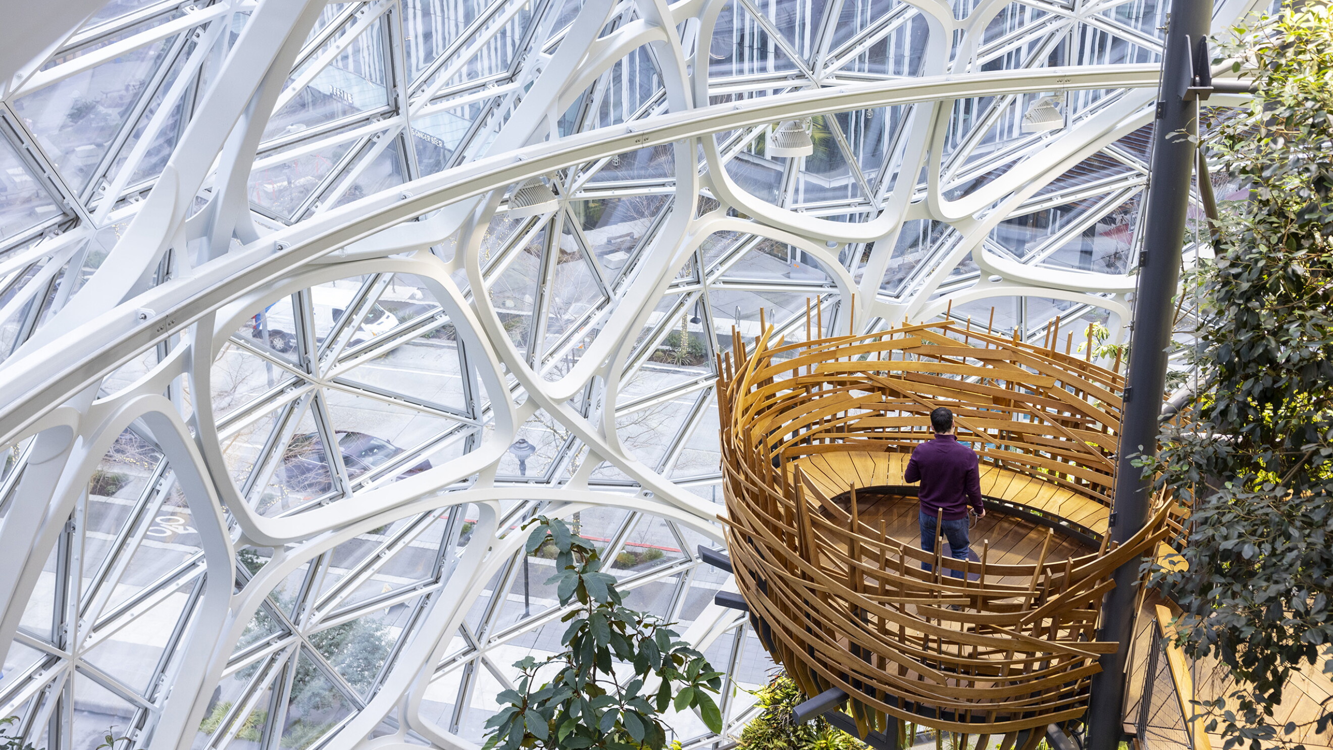 Amazon Intiro Photos from inside the Amazon Spheres in Seattle