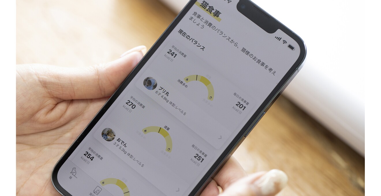 個体ごとのグラフやデータが表示されている画面写真