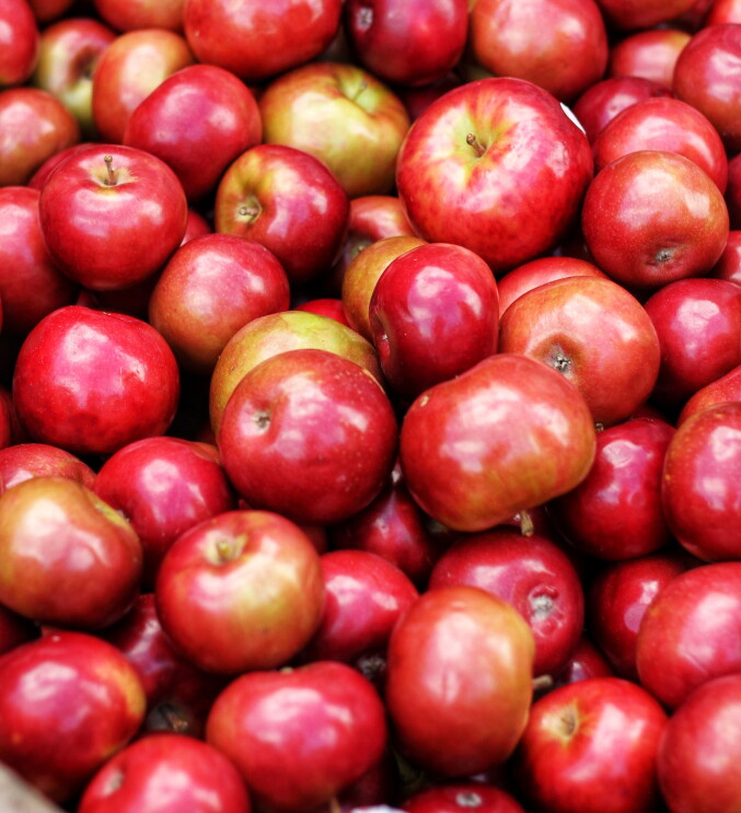 Dozens of shiny red and yellow apples of different sizes and shapes, from above.