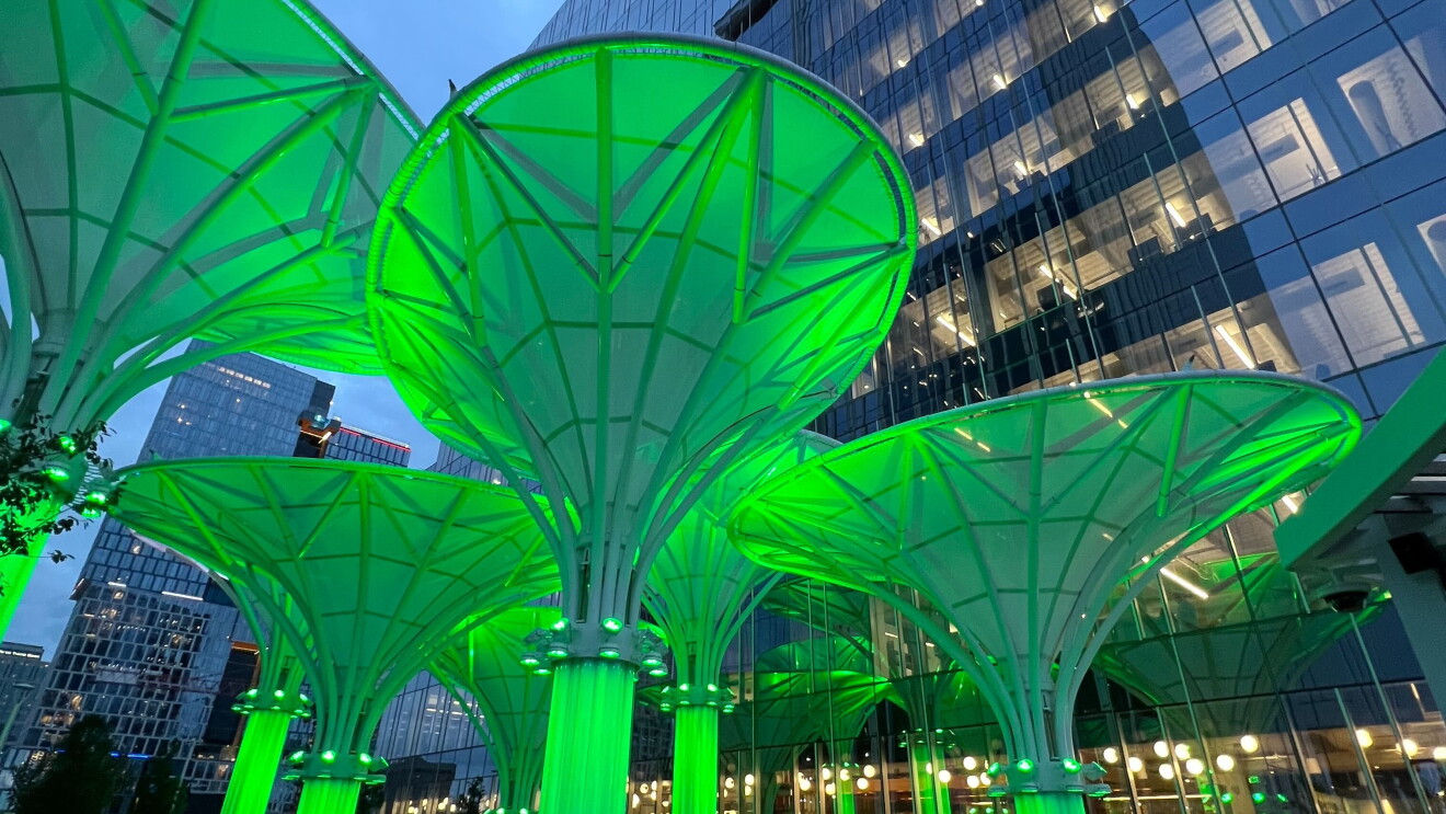 Operation Green Light at HQ2: Futuristic green umbrella-like structures illuminated at night in urban setting
