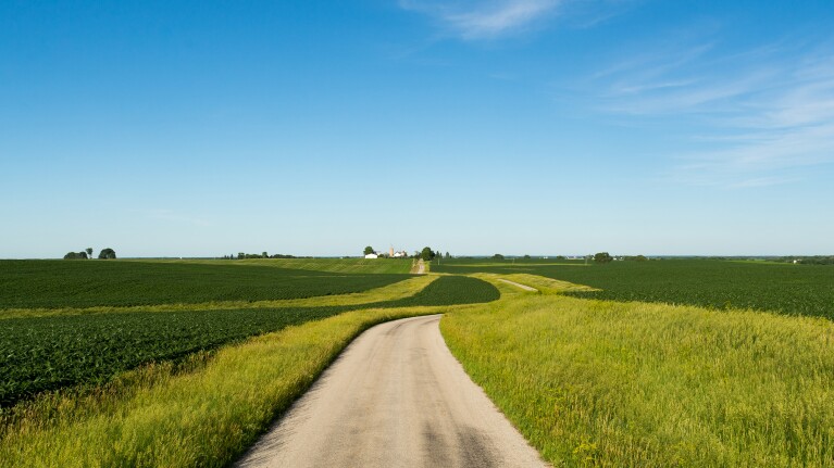 A long dirt rod within a field in Illinois.