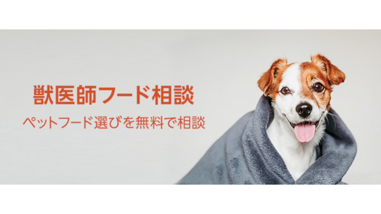 Amazon社員がおすすめする、Alexa(アレクサ)やAmazonデバイスを活用したペットとの暮らし