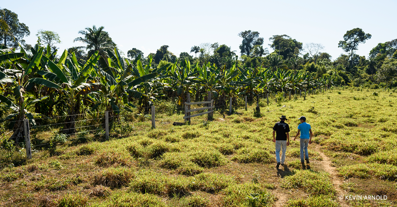 Two men walk among a local Brazilian farm.