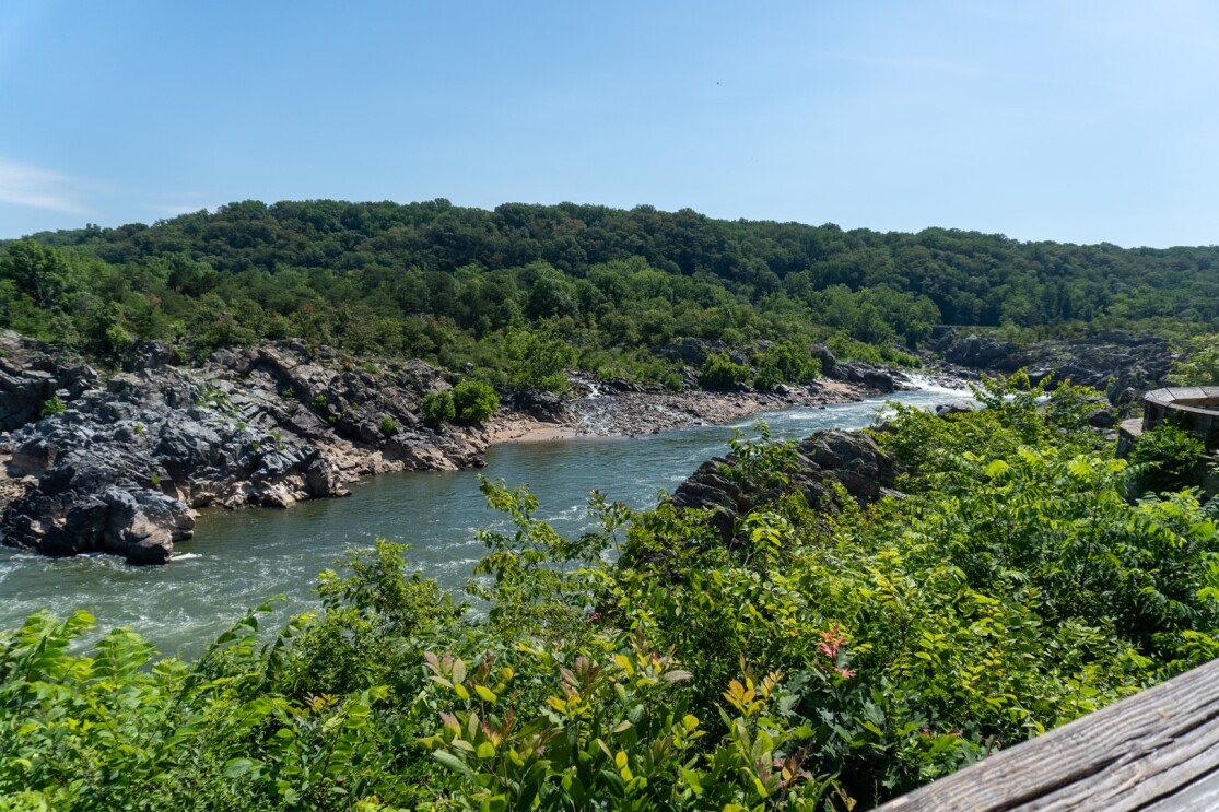 Images of the beautiful outdoor landscapes that inspired the design of Amazon's new, second headquarters.