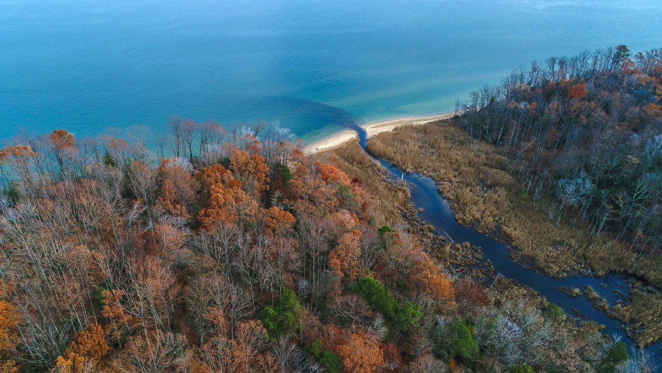 Desembocadura de un río al mar. Rodeado de árboles en otoño. 