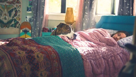 一个孩子睡在她的床上,她的狗把头靠在她身上。