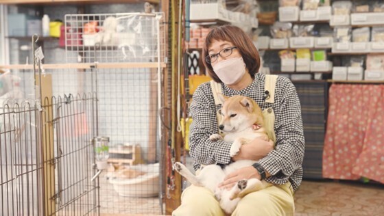 ケージやフードが並ぶペットショップの店内で、柴犬を抱っこして座る女性。眼鏡をしてマスクをかけている。