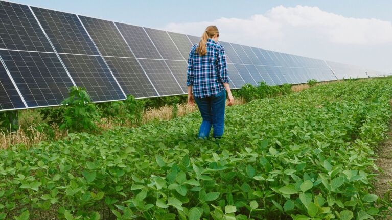 Female farmer walking through the Madison Fields solar project in Madison County, OH