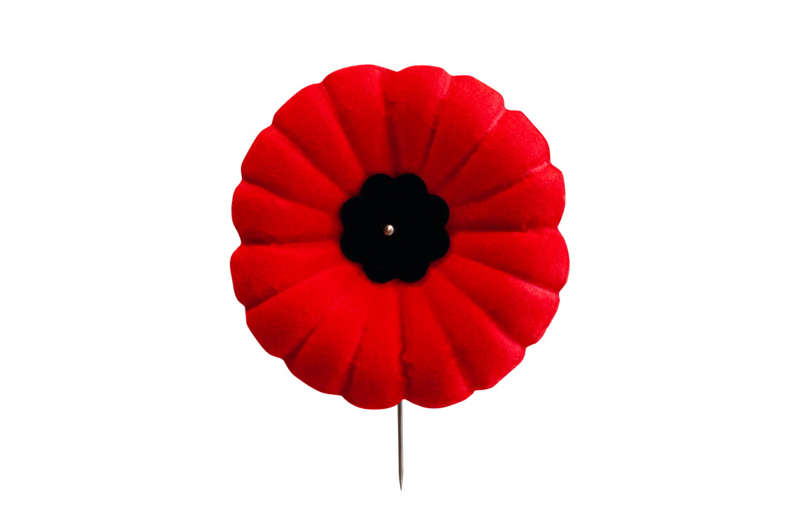 Lapel Poppy 2024 FR