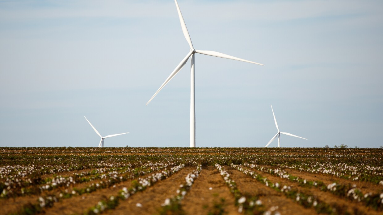 Amazon Wind Farm in Texas 