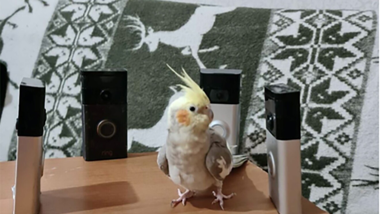 亚马逊的工程师创新流感大流行期间在家