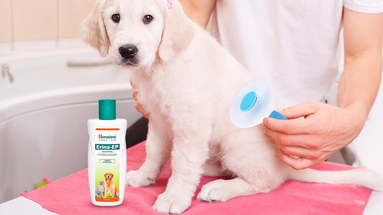 Grooming products for cats and dogs