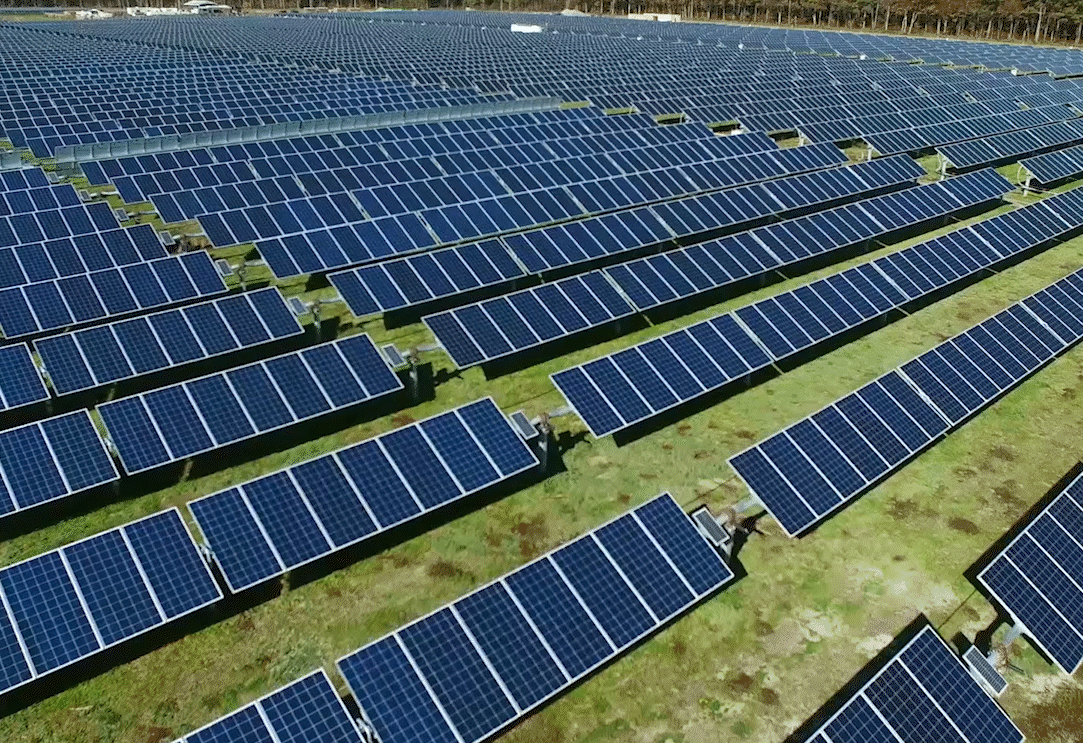 A solar wind farm.