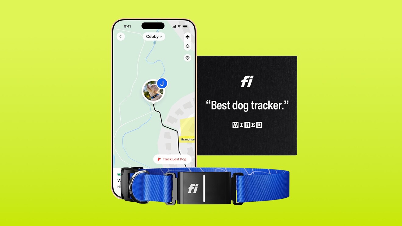 Dog tracker app interface with map and collar device