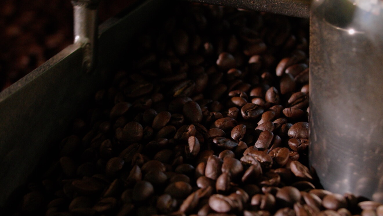 Roasted coffee beans at Hook Coffee's roastery