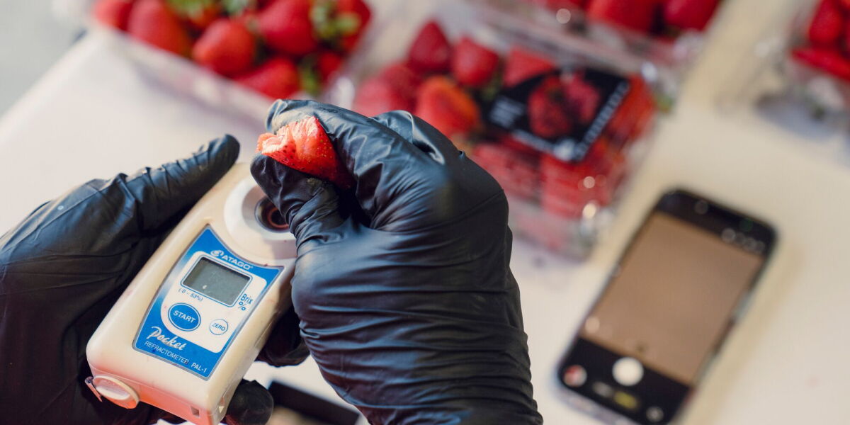 Inside the grocery operation Amazon built to be pickier than you