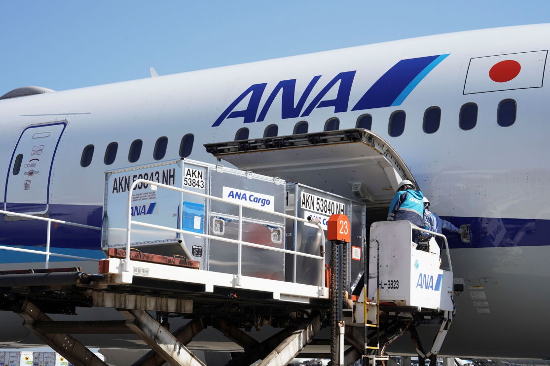 飛行機（ANA）に大きな貨物用のカーゴが積みこまれている