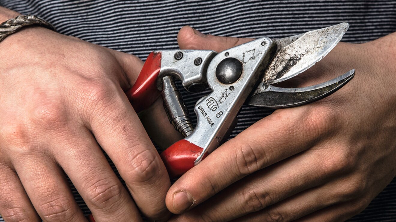 Images of a FELCO tool with red handles.