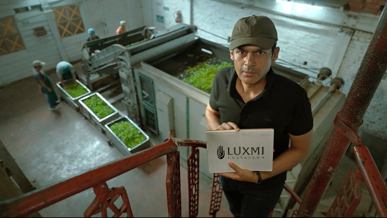 Luxmi Tea Makaibari