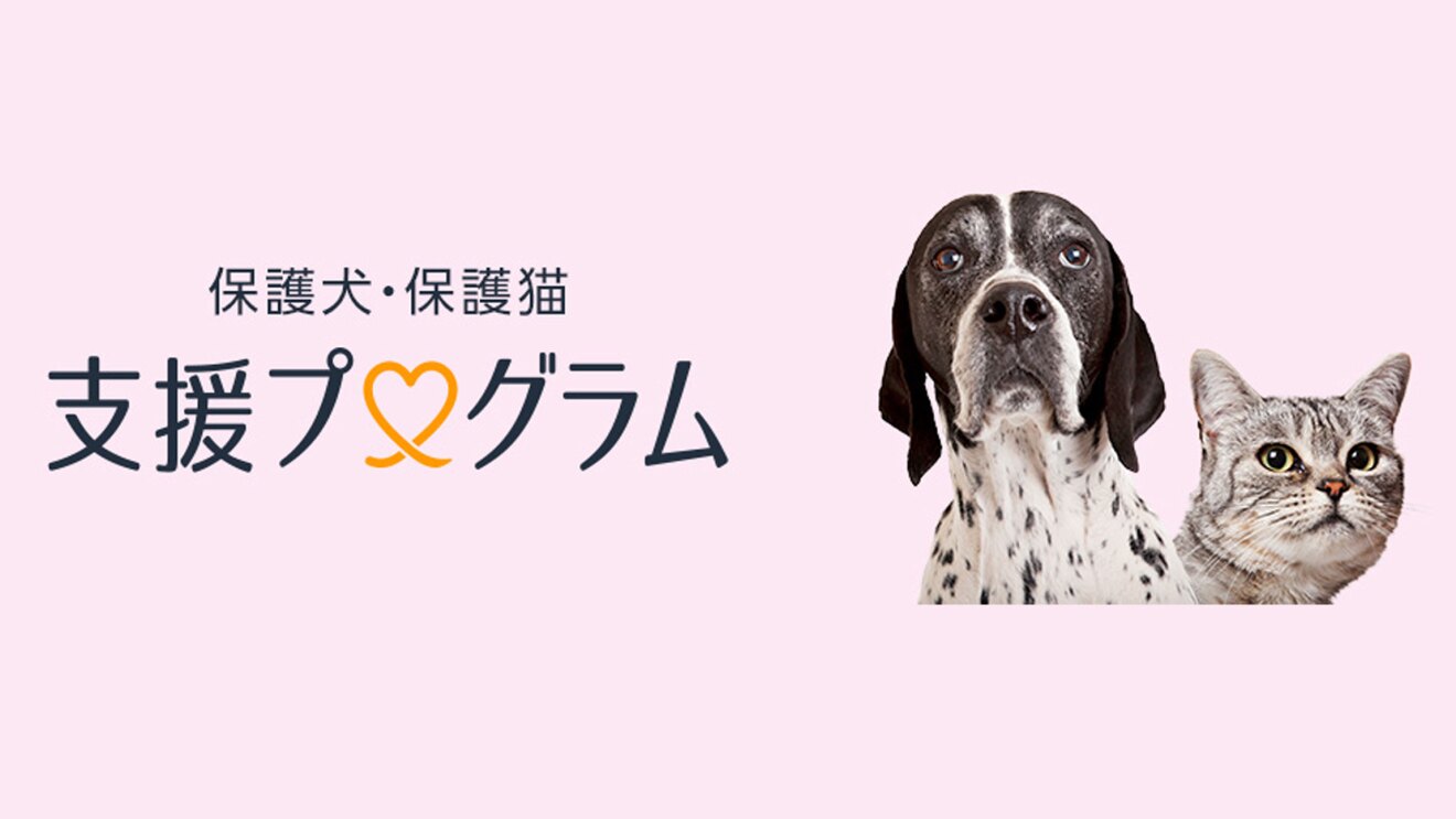 動物保護施設への新型コロナウイルス感染症による影響と必要とされる支援について About Amazon Japan