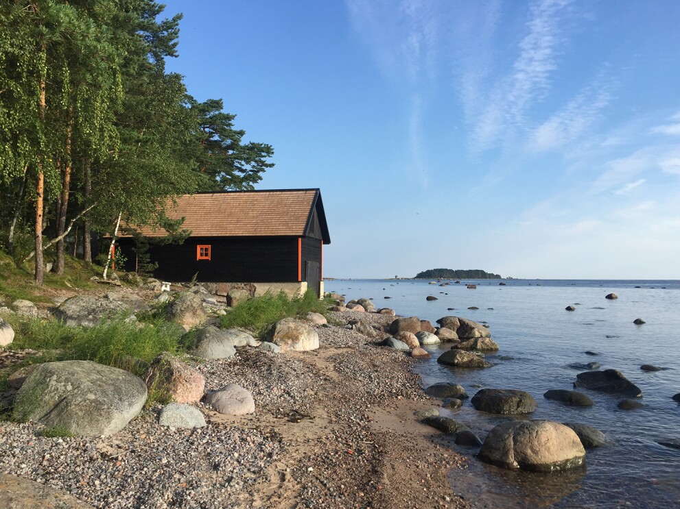 Reisen mit Hund_Haustier