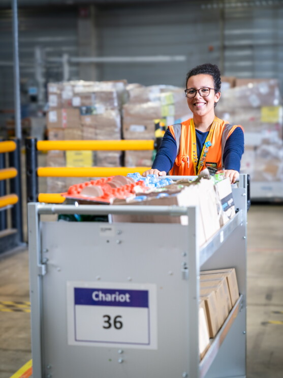 LYS1_SIVER_CART_LD-5.jpg 